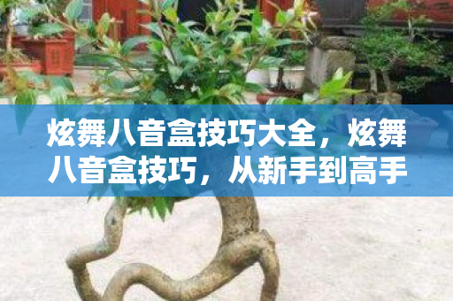 炫舞八音盒技巧大全，炫舞八音盒技巧，从新手到高手的进阶之路