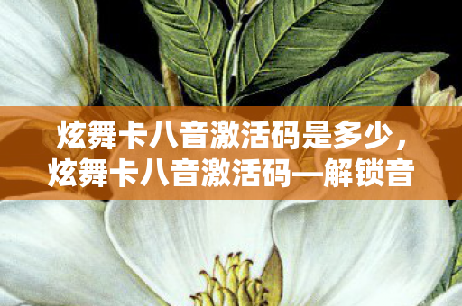 炫舞卡八音激活码是多少，炫舞卡八音激活码—解锁音乐狂欢的独家秘籍
