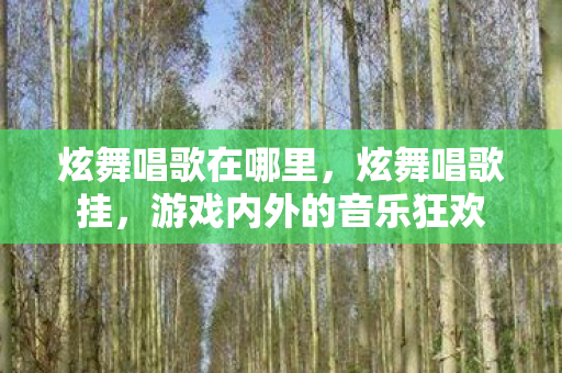 炫舞唱歌在哪里，炫舞唱歌挂，游戏内外的音乐狂欢