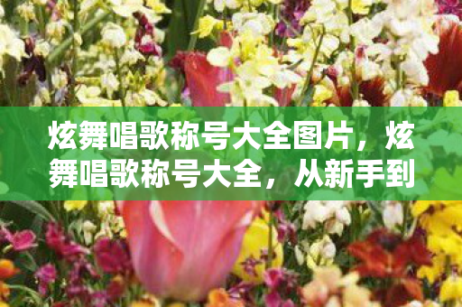 炫舞唱歌称号大全图片,炫舞唱歌称号大全,从新手到大师,你属于哪一个? 炫舞唱歌称号大全图片,炫舞唱歌称号大全,从新手到大师,你属于哪一个?