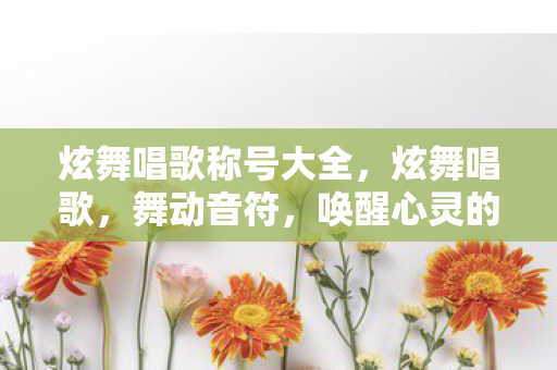 炫舞唱歌称号大全，炫舞唱歌，舞动音符，唤醒心灵的艺术之旅