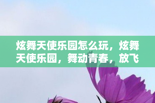 炫舞天使乐园怎么玩,炫舞天使乐园,舞动青春,放飞梦想 炫舞天使乐园怎么玩,炫舞天使乐园,舞动青春,放飞梦想
