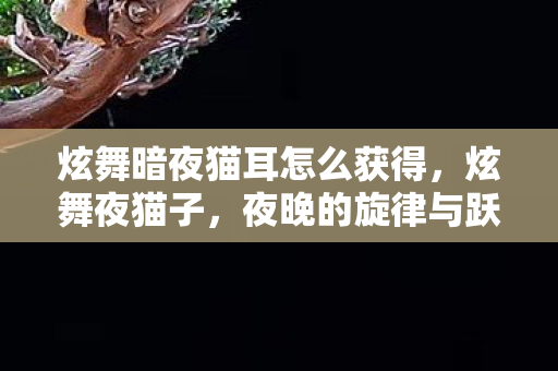 炫舞暗夜猫耳怎么获得,炫舞夜猫子,夜晚的旋律与跃动的热情 炫舞暗夜猫耳怎么获得,炫舞夜猫子,夜晚的旋律与跃动的热情