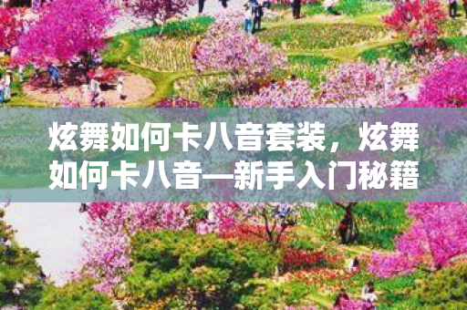 炫舞如何卡八音套装，炫舞如何卡八音—新手入门秘籍