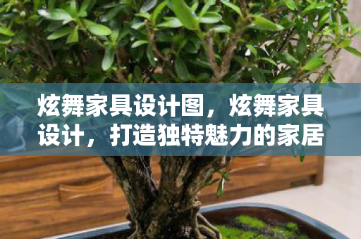 炫舞家具设计图，炫舞家具设计，打造独特魅力的家居空间