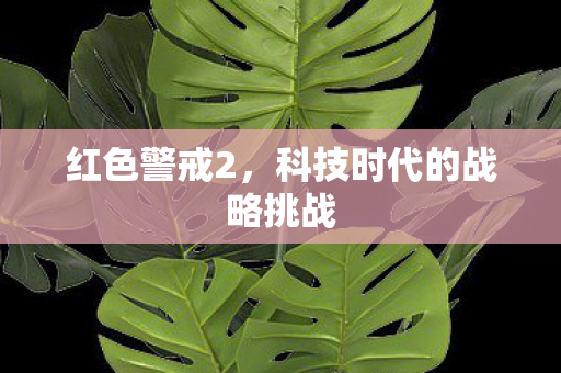 红色警戒2,科技时代的战略挑战 红色警戒2,科技时代的战略挑战