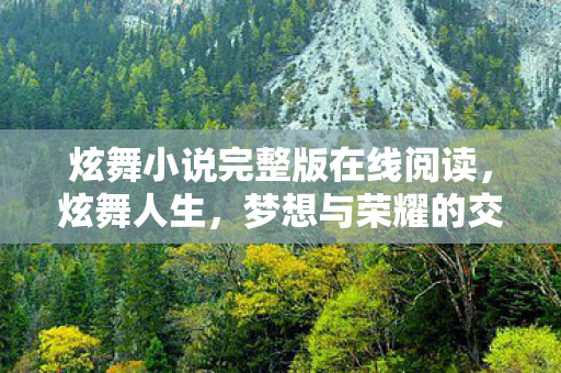 炫舞小说完整版在线阅读，炫舞人生，梦想与荣耀的交响曲