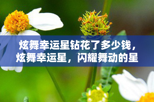 炫舞幸运星钻花了多少钱，炫舞幸运星，闪耀舞动的星光之梦