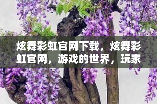 炫舞彩虹官网下载，炫舞彩虹官网，游戏的世界，玩家的乐园