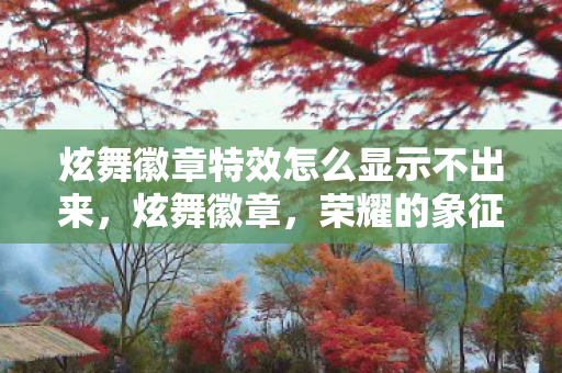 炫舞徽章特效怎么显示不出来，炫舞徽章，荣耀的象征，舞者的骄傲