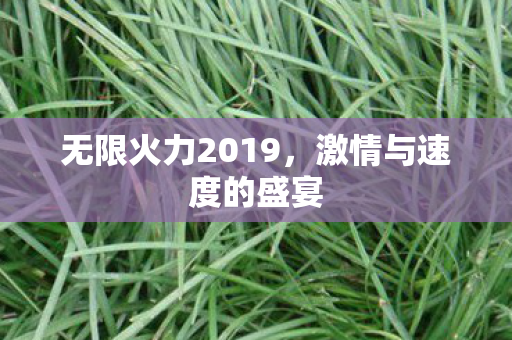 无限火力2019，激情与速度的盛宴