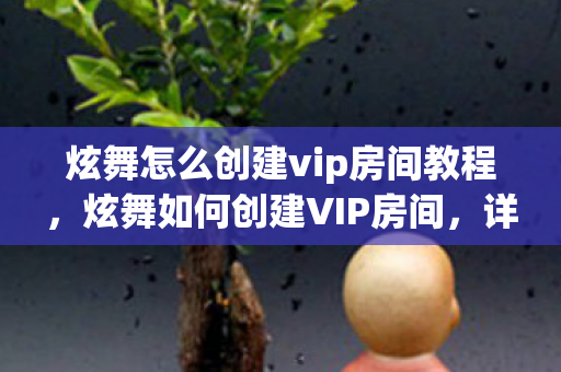 炫舞怎么创建vip房间教程，炫舞如何创建VIP房间，详细步骤与特权解析