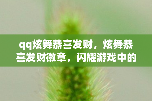qq炫舞恭喜发财,炫舞恭喜发财徽章,闪耀游戏中的幸运象征 qq炫舞恭喜发财,炫舞恭喜发财徽章,闪耀游戏中的幸运象征