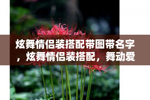 炫舞情侣装搭配带图带名字,炫舞情侣装搭配,舞动爱情的时尚魅力 炫舞情侣装搭配带图带名字,炫舞情侣装搭配,舞动爱情的时尚魅力