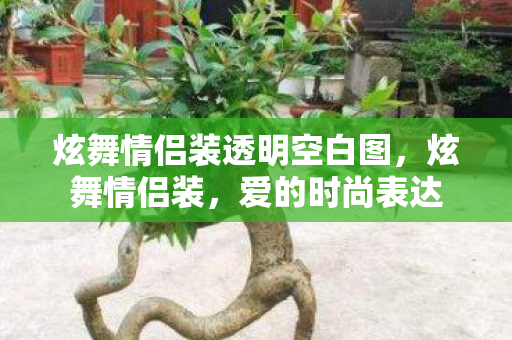 炫舞情侣装透明空白图，炫舞情侣装，爱的时尚表达