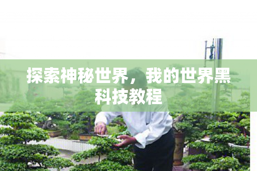 探索神秘世界，我的世界黑科技教程