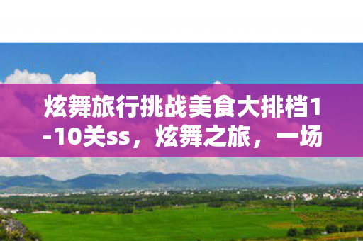 炫舞旅行挑战美食大排档1-10关ss，炫舞之旅，一场别开生面的挑战之旅