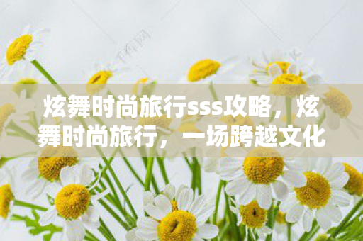 炫舞时尚旅行sss攻略，炫舞时尚旅行，一场跨越文化与时尚的华丽之旅