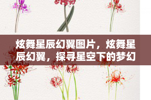 炫舞星辰幻翼图片，炫舞星辰幻翼，探寻星空下的梦幻舞步与神秘力量