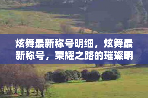 炫舞最新称号明细，炫舞最新称号，荣耀之路的璀璨明珠