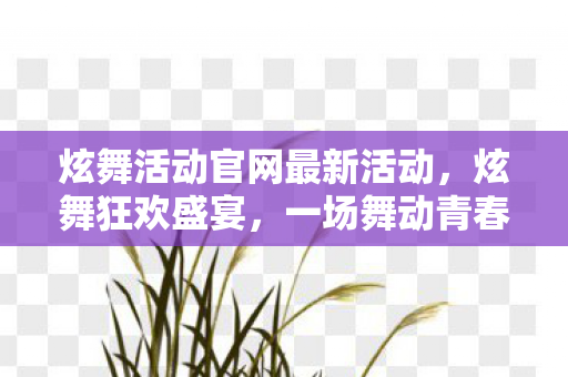 炫舞活动官网最新活动，炫舞狂欢盛宴，一场舞动青春的盛宴