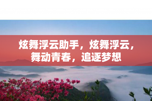 炫舞浮云助手，炫舞浮云，舞动青春，追逐梦想