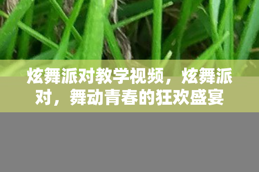 炫舞派对教学视频，炫舞派对，舞动青春的狂欢盛宴