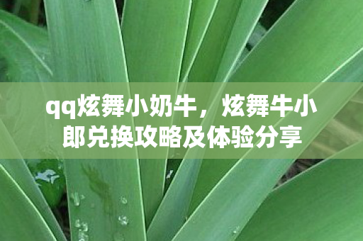 qq炫舞小奶牛，炫舞牛小郎兑换攻略及体验分享