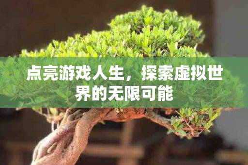 点亮游戏人生，探索虚拟世界的无限可能