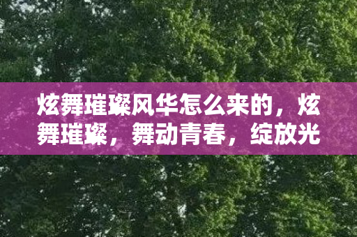 炫舞璀璨风华怎么来的，炫舞璀璨，舞动青春，绽放光彩
