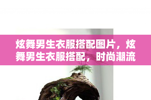 炫舞男生衣服搭配图片，炫舞男生衣服搭配，时尚潮流引领者