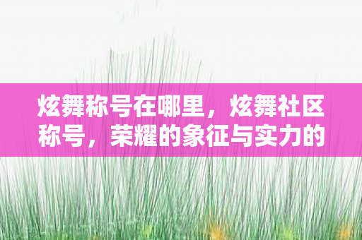 炫舞称号在哪里，炫舞社区称号，荣耀的象征与实力的展现