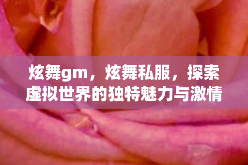 炫舞gm，炫舞私服，探索虚拟世界的独特魅力与激情