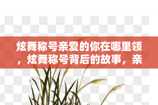 炫舞称号亲爱的你在哪里领，炫舞称号背后的故事，亲爱的你在哪里？