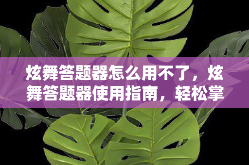 炫舞答题器怎么用不了，炫舞答题器使用指南，轻松掌握答题技巧，成为炫舞达人！