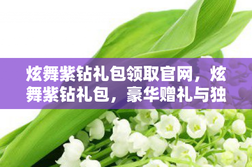 炫舞紫钻礼包领取官网，炫舞紫钻礼包，豪华赠礼与独家特权一览