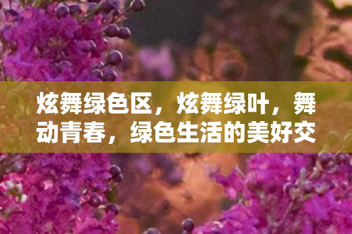 炫舞绿色区,炫舞绿叶,舞动青春,绿色生活的美好交织 炫舞绿色区,炫舞绿叶,舞动青春,绿色生活的美好交织