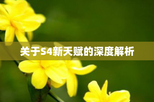 关于S4新天赋的深度解析
