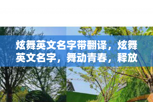 炫舞英文名字带翻译，炫舞英文名字，舞动青春，释放激情