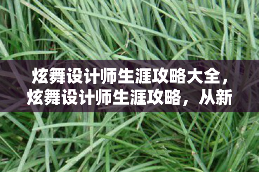 炫舞设计师生涯攻略大全，炫舞设计师生涯攻略，从新手到大师之路