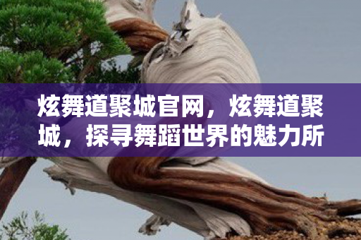 炫舞道聚城官网，炫舞道聚城，探寻舞蹈世界的魅力所在