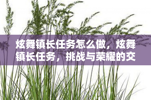 炫舞镇长任务怎么做，炫舞镇长任务，挑战与荣耀的交织