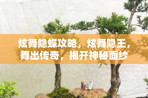 炫舞隐蝶攻略，炫舞隐王，舞出传奇，揭开神秘面纱