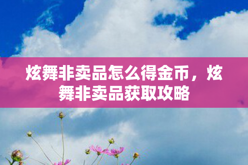 炫舞非卖品怎么得金币，炫舞非卖品获取攻略