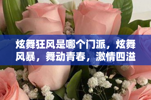 炫舞狂风是哪个门派，炫舞风暴，舞动青春，激情四溢的舞蹈世界