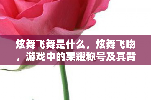 炫舞飞舞是什么，炫舞飞吻，游戏中的荣耀称号及其背后的故事