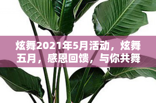 炫舞2021年5月活动，炫舞五月，感恩回馈，与你共舞精彩时光