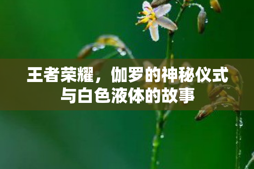 王者荣耀,伽罗的神秘仪式与白色液体的故事 王者荣耀,伽罗的神秘仪式与白色液体的故事