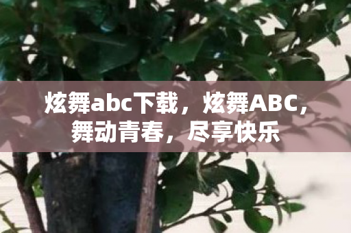炫舞abc下载，炫舞ABC，舞动青春，尽享快乐