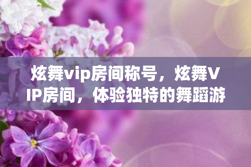 炫舞vip房间称号，炫舞VIP房间，体验独特的舞蹈游戏特权